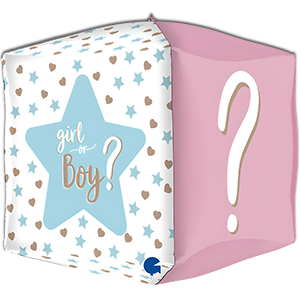 Cub 4D - Gender Reveal - 38 cm